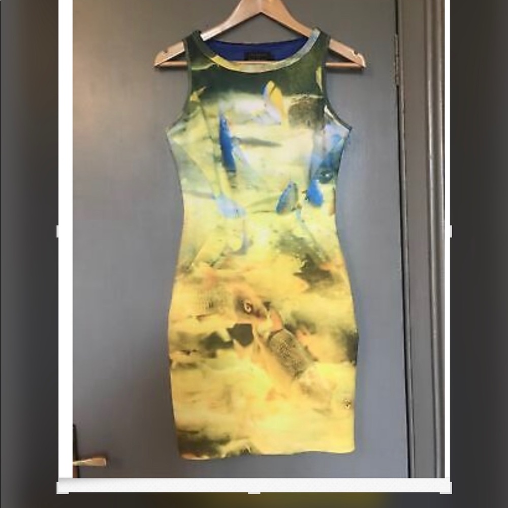 TED BAKER AQUARIUM DRESS NWT